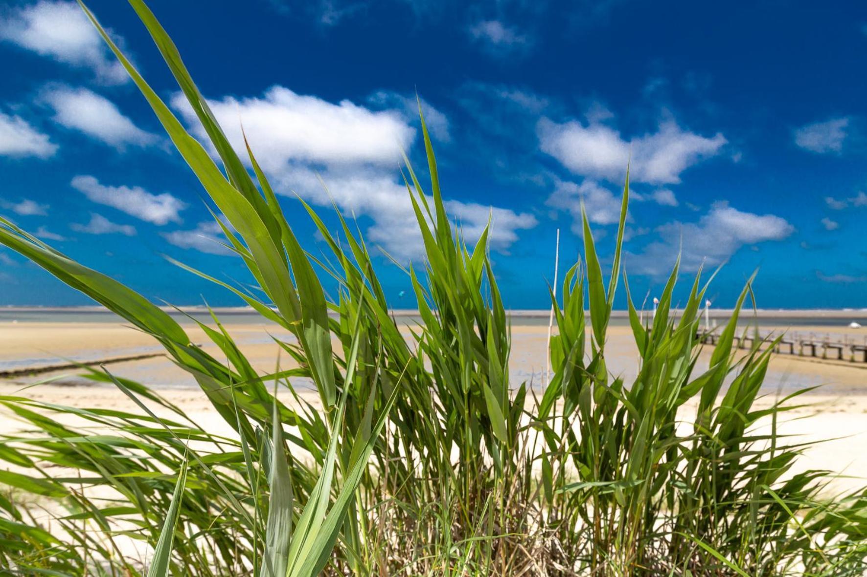Wohnen am Südstrand - Ferienwohnung 0 3 Wyk auf Föhr Exterior foto