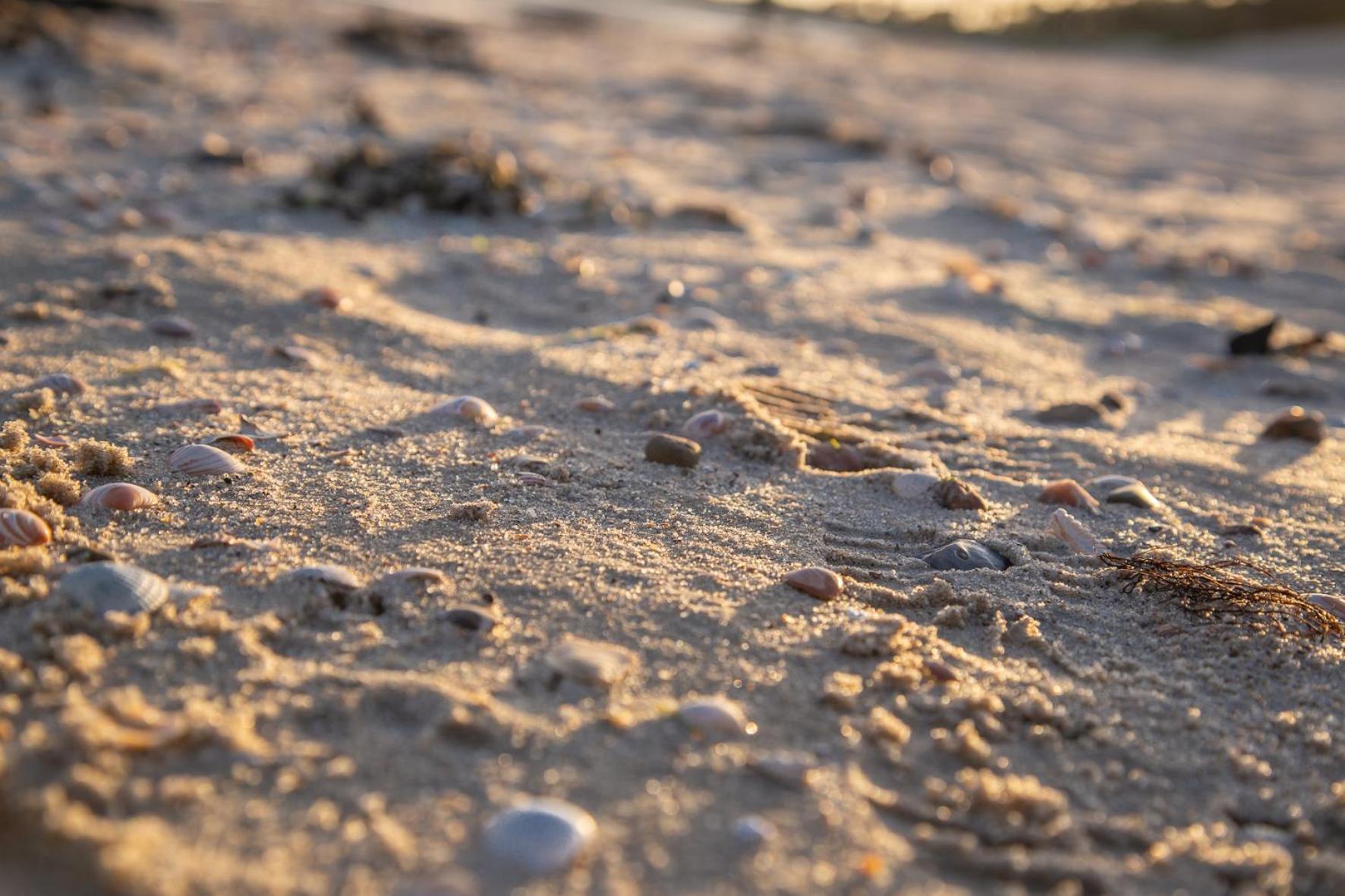 Wohnen am Südstrand - Ferienwohnung 0 3 Wyk auf Föhr Exterior foto